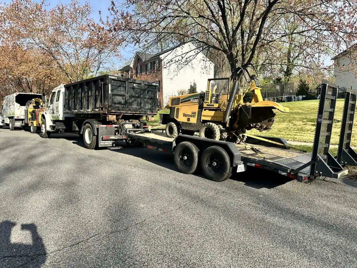 ISA Certified Arborist from Ballard Enterprises inspecting a mature tree trunk for signs of decay and structural safety risks in Bowie MD.