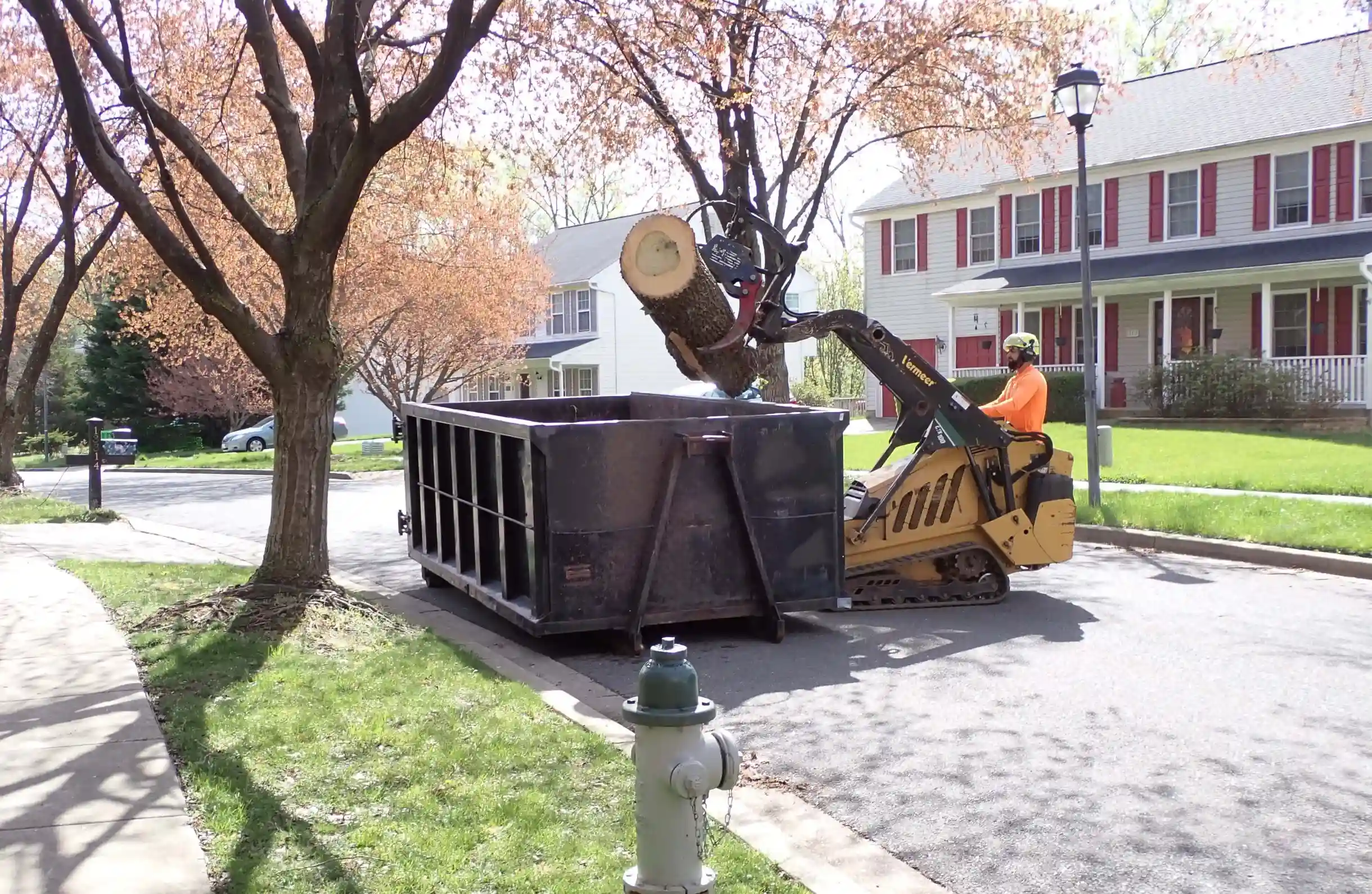 Ballard Enterprises crew performing safe tree removal in Bowie MD