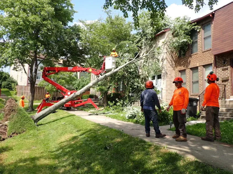 Emergency tree service team responding to storm damage in Bowie, Maryland, ready to assist.