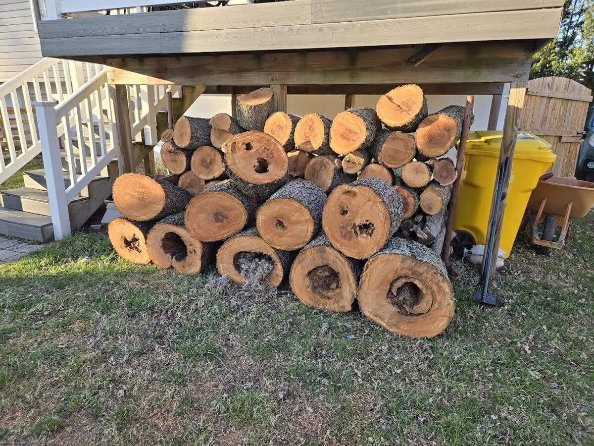 Premium seasoned firewood delivery near me by Ballard Enterprises in Bowie, MD — properly split, seasoned hardwood ready for pickup or delivery across Anne Arundel County.
