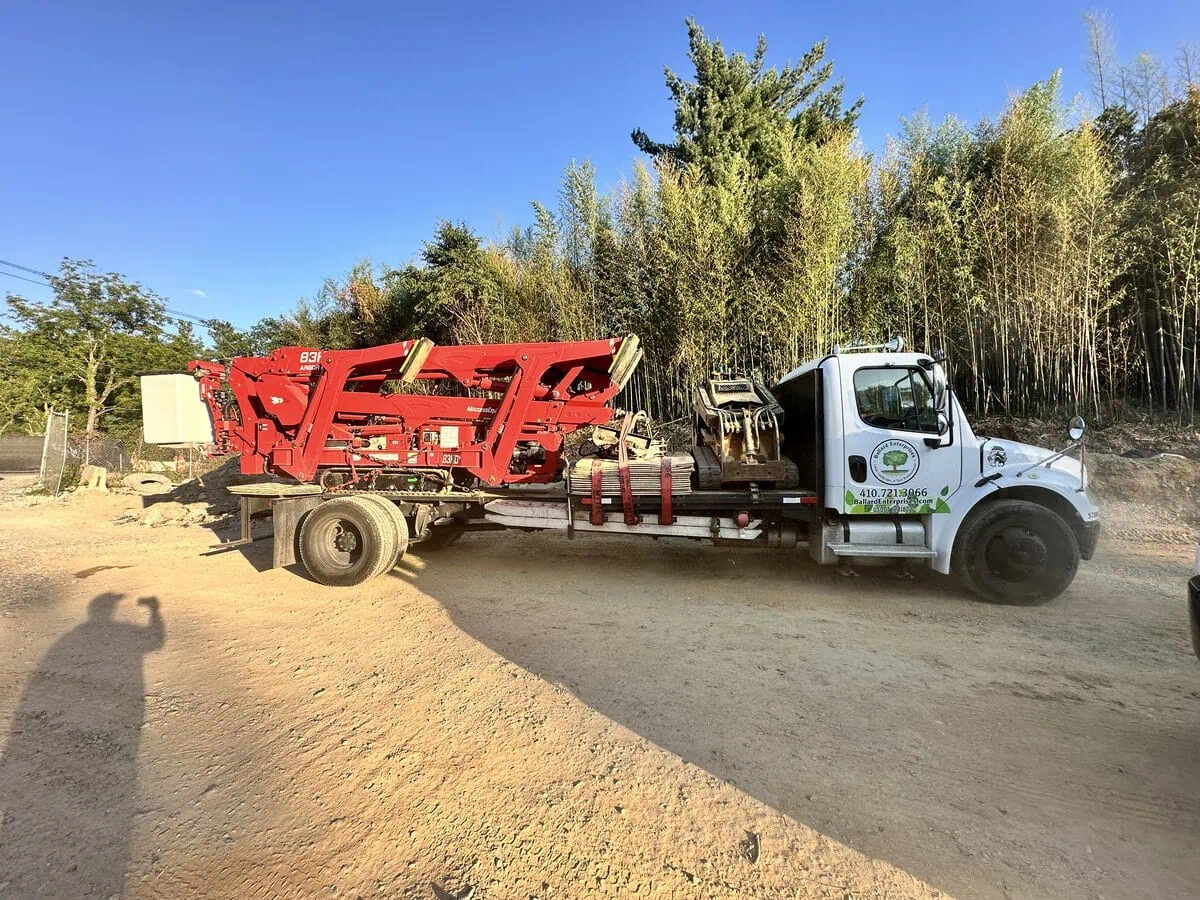Ballard Enterprises professional lot and land clearing crew near me in Bowie, MD, removing trees, stumps, and brush from a residential lot to prepare it for construction or landscaping.
