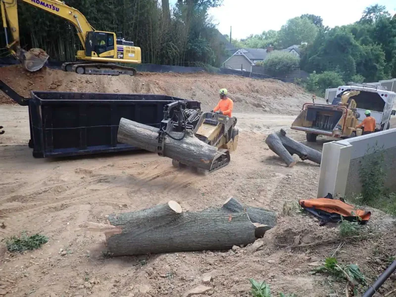 Workers using heavy machinery to remove tree stumps at a construction site in Pasadena, MD.