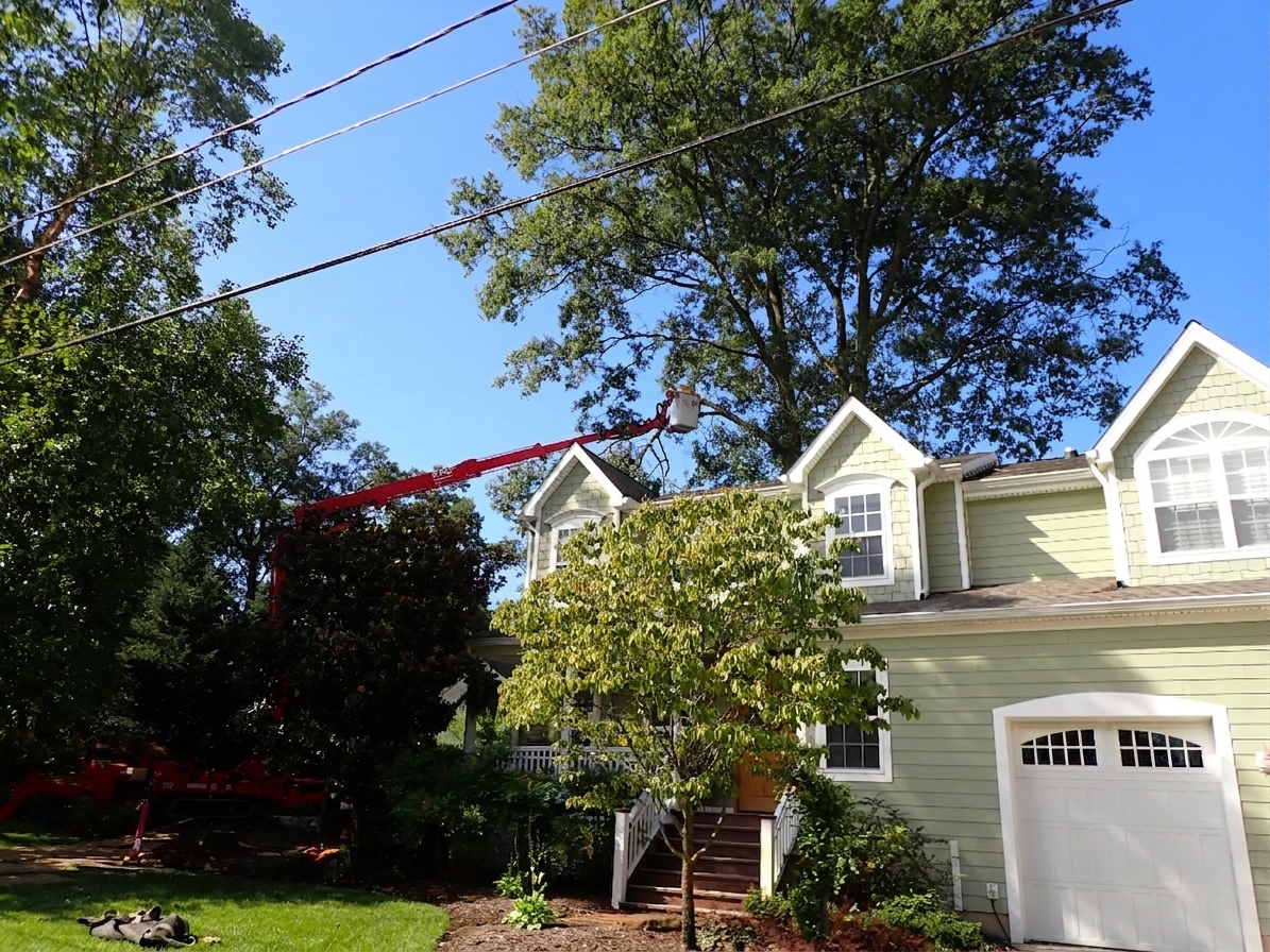Detailed tree risk assessment report prepared by a certified arborist in Maryland.