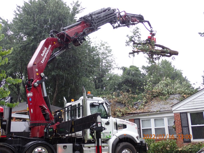 Grapple equipment utilized for safe tree removal in Bowie, MD area.