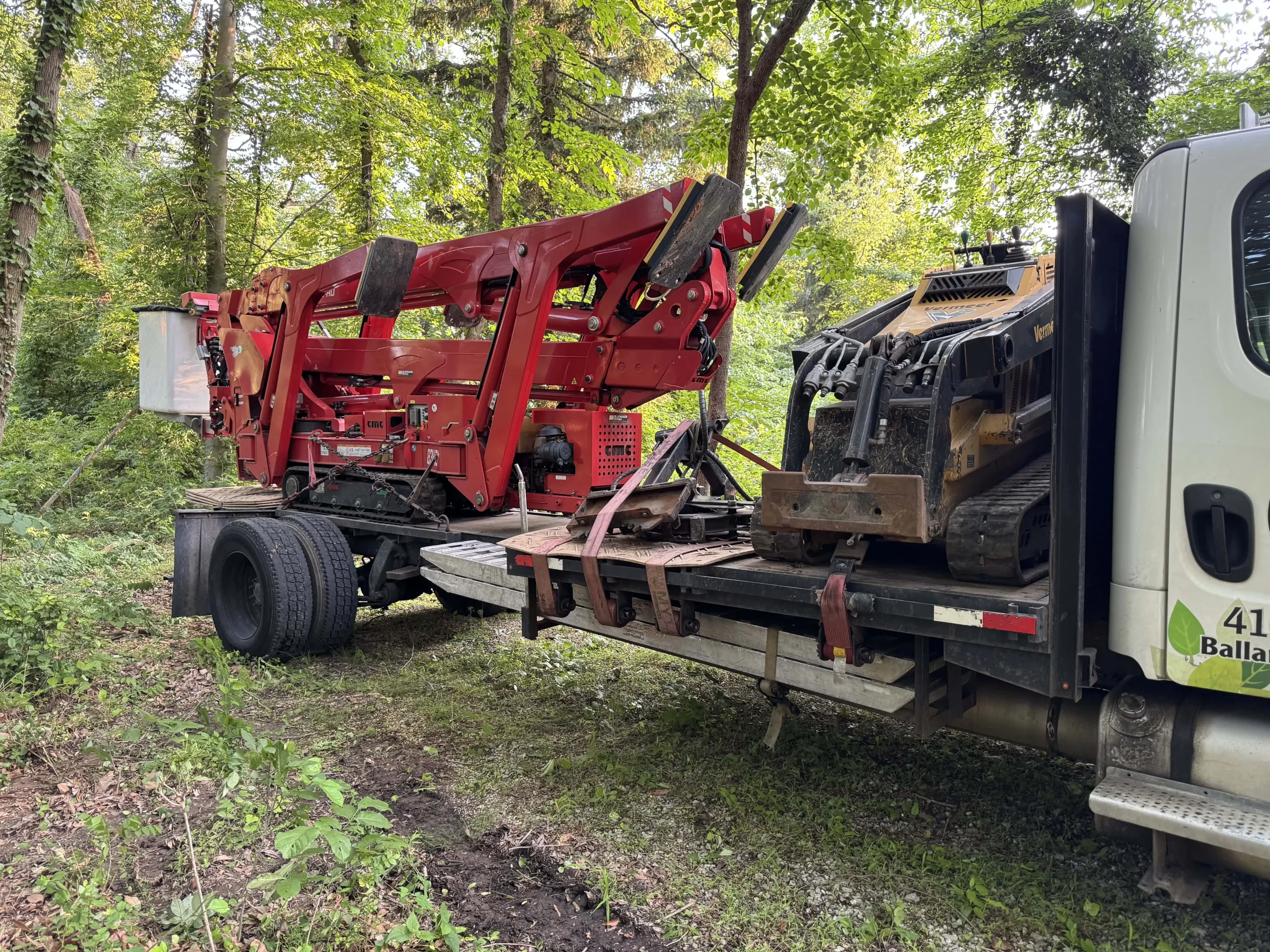 Tree Service in Rockville, MD