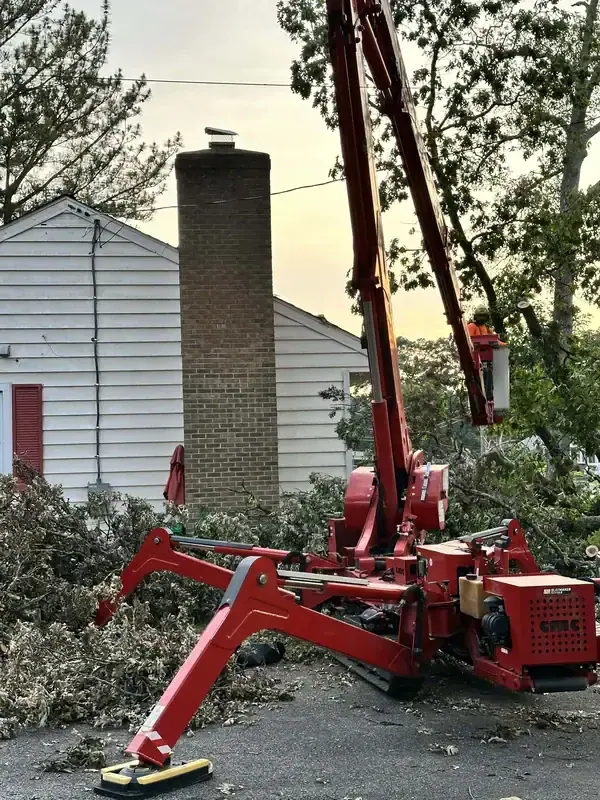Large willow oak tree removal service in Bowie, MD using a grapple saw crane