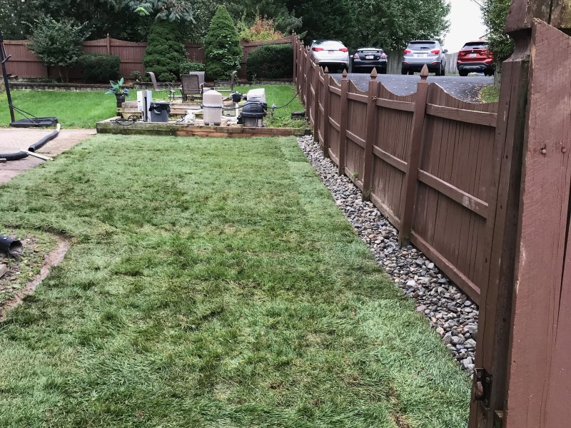 Lush green lawn maintained by Ballard Enterprises in Bowie, Maryland.