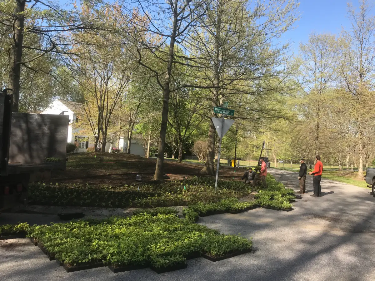 ISA Certified Arborist performing plant health care and tree disease treatment near me by Ballard Enterprises in Bowie, MD.