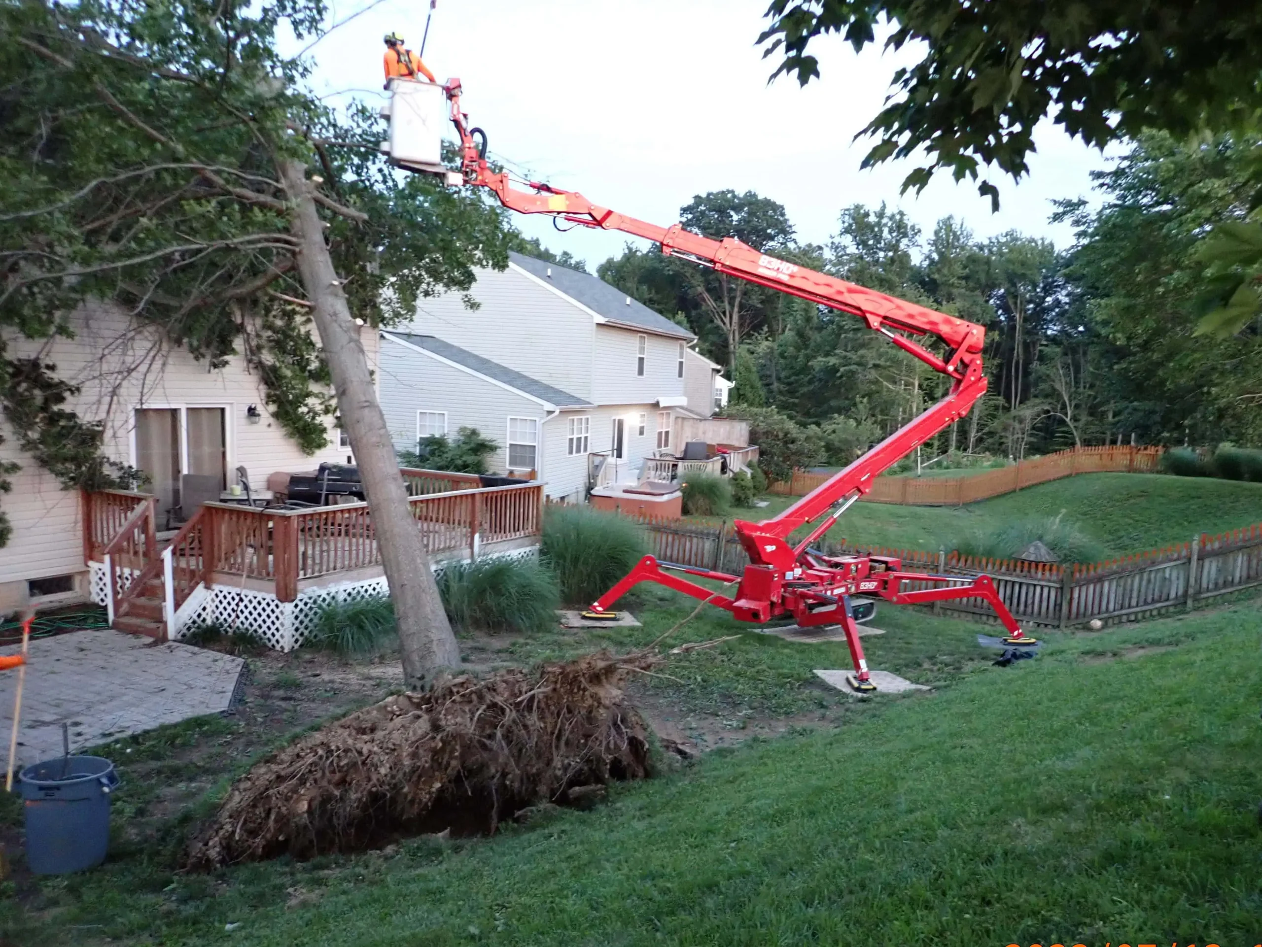 A professional crew from Ballard Enterprises safely removing a large tree using a zero-impact grapple saw crane in a residential neighborhood in Glen Burnie, MD.