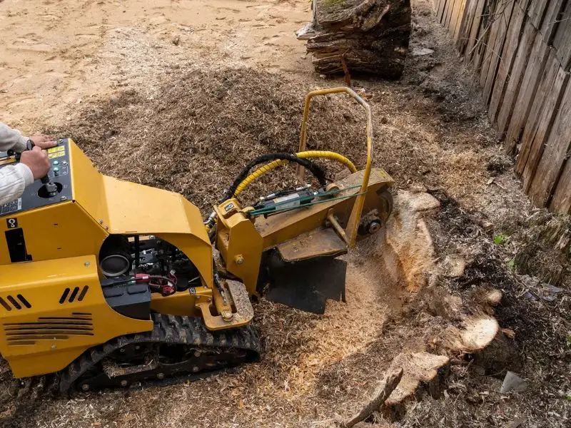 Stump grinding service performed by arborists in Bowie, MD for tree removal.