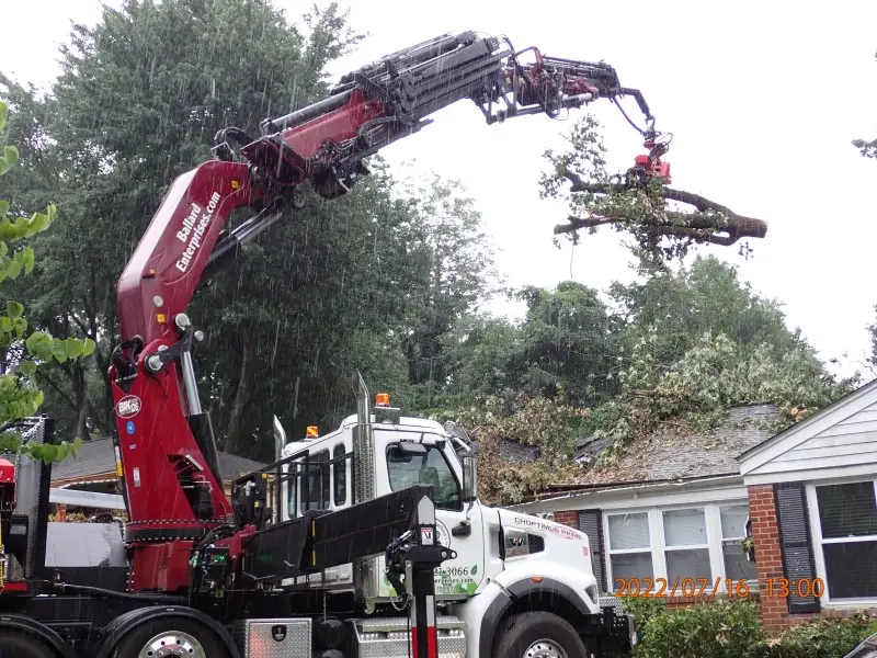 Grapple equipment utilized for safe tree removal in Bowie, MD area.