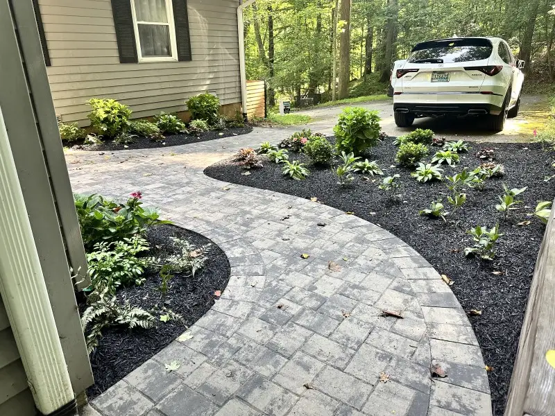 Lush green landscape with diverse plants enhancing the outdoor aesthetics of a property.