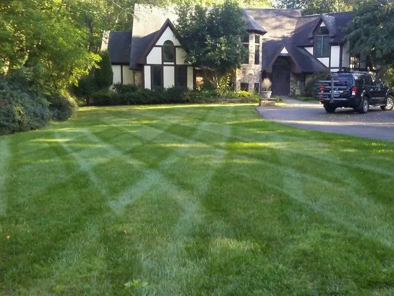 Professional lawn care services enhancing outdoor spaces in Bowie, MD.