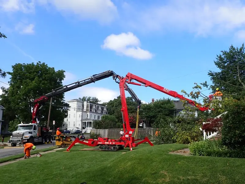 Lift and grapple equipment used for tree removal and landscape services in Bowie, MD.